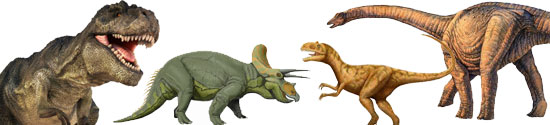 ภาพระบายสี Dinosaur ไดโนเสาร์