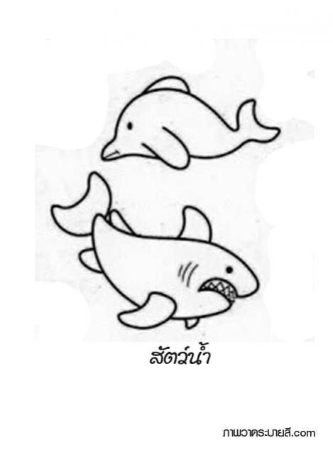 สัตว์น้ำ