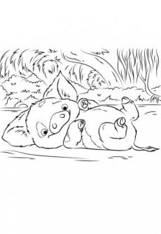 ภาพวาดระบายสีpua pet pig from moana